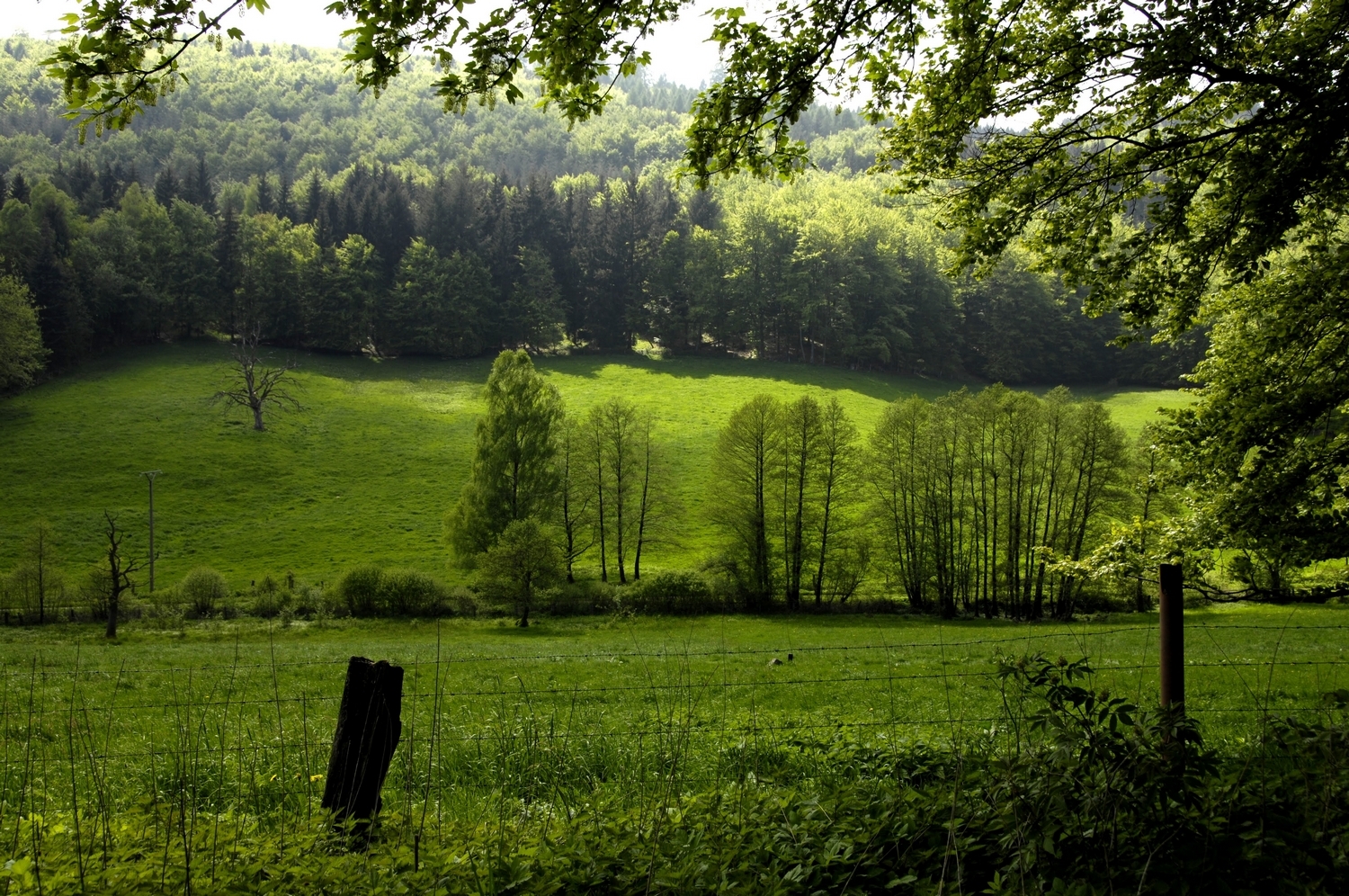 Forsthaus Donnershagen, Tal