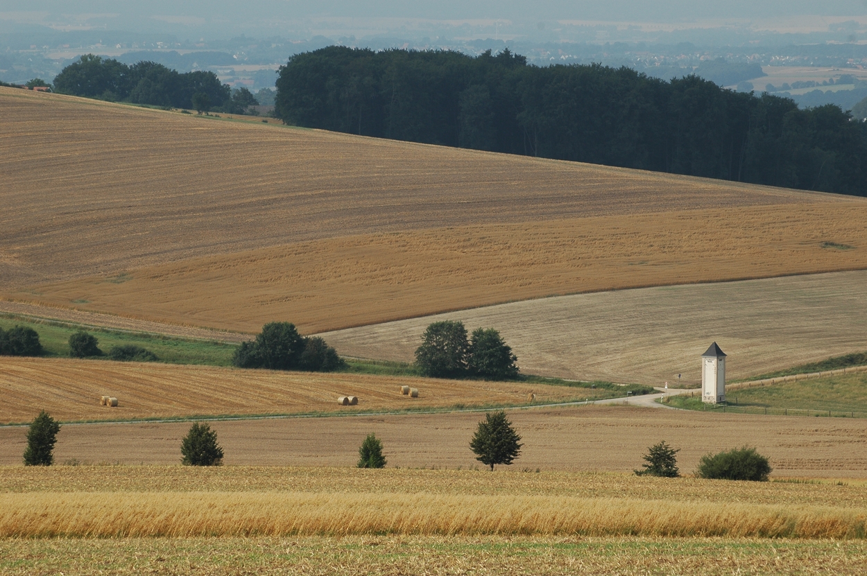 Herford, Schwarzenmoor