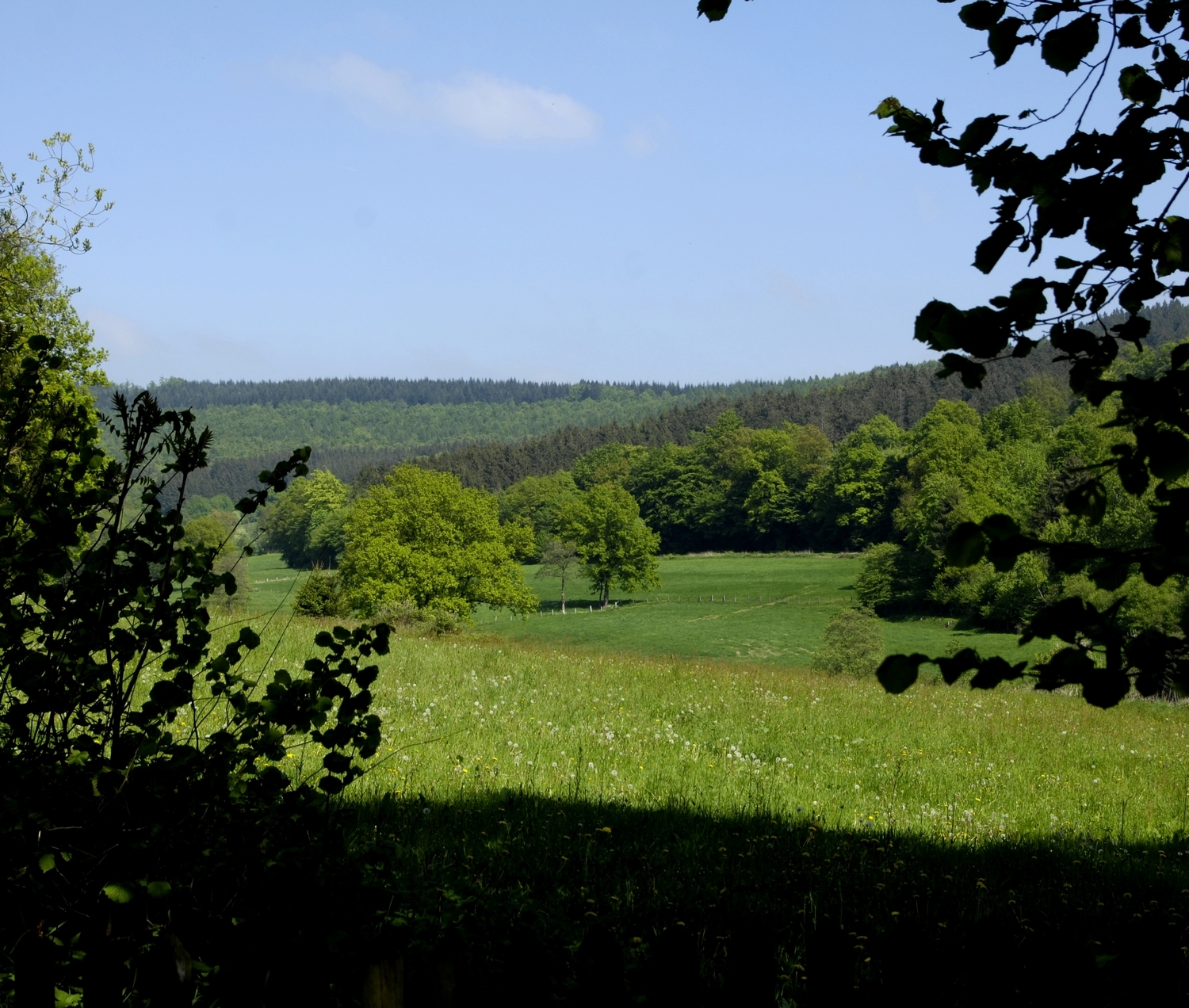 Dinkelhausen, Blick ins Malliehagental