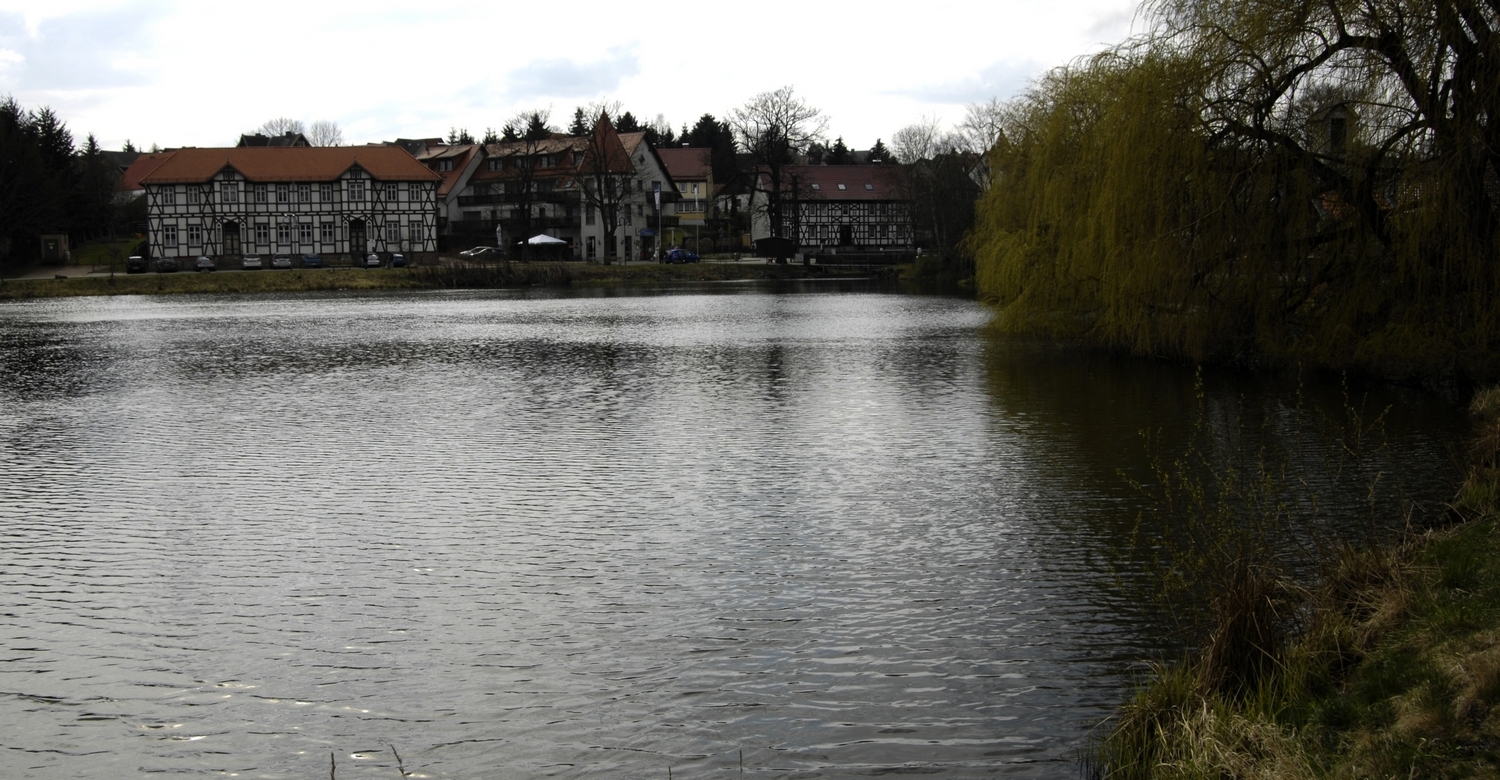 Stiege im Harz, See