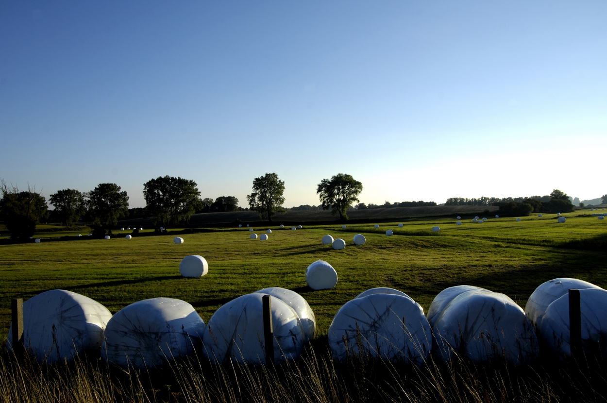 Vorpommern, Landschaft