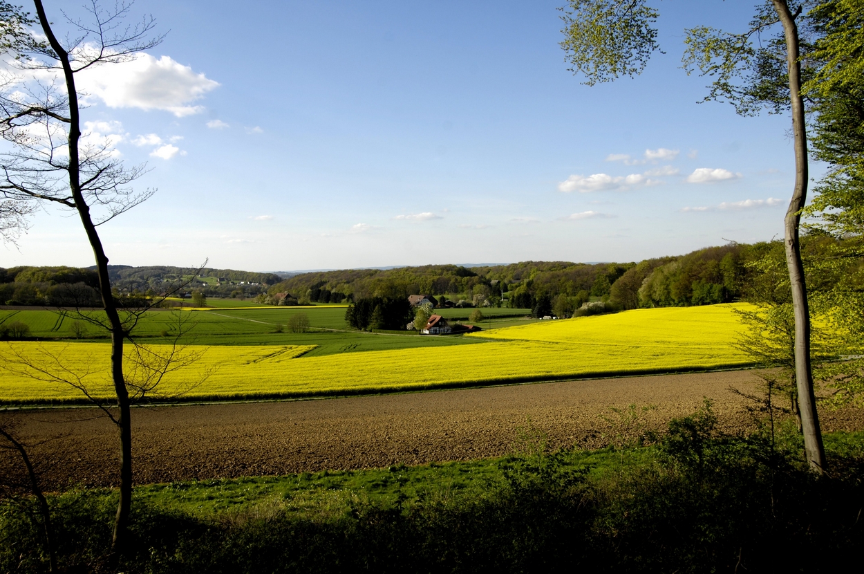 Werther, Isingdorf