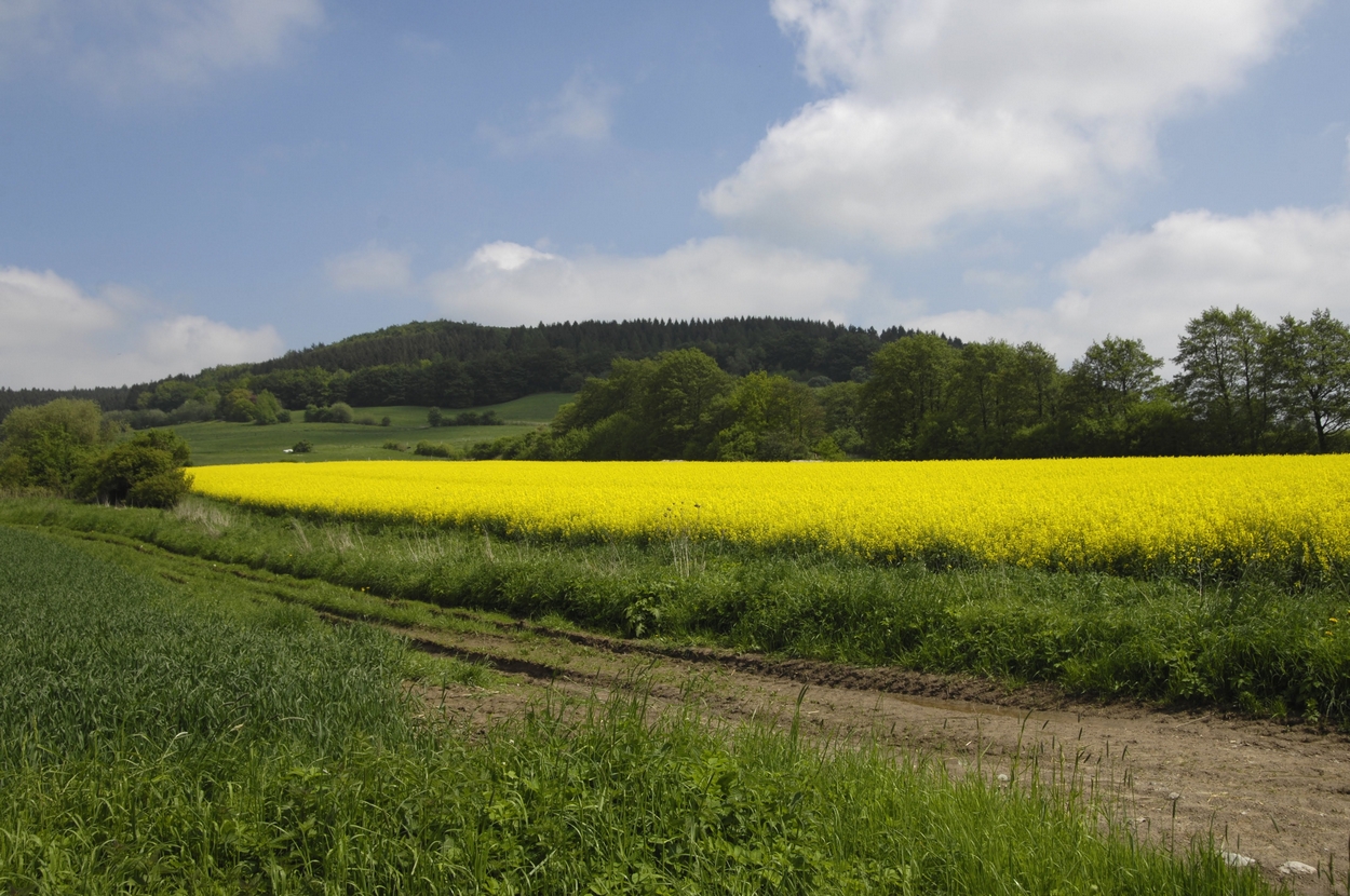 Dinkelhausen, Landschaft