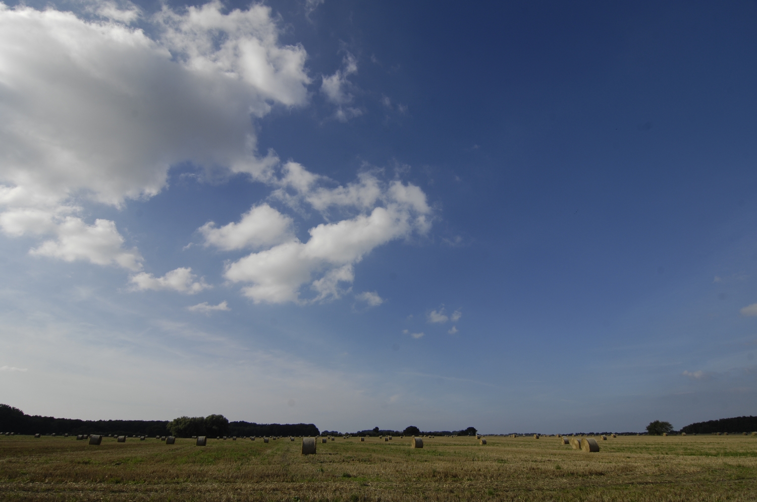 Landschaft nahe Stralsund