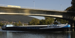 Main Levana