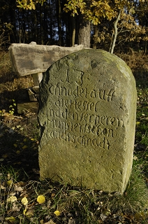 Grenzstein zw Greffen u Sassenberg