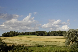 Hoerste Lippe vorgelagrte Huegelkette