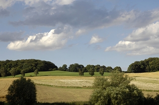 Hoerste Lippe Landschaft