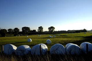 Landschaft Pommern