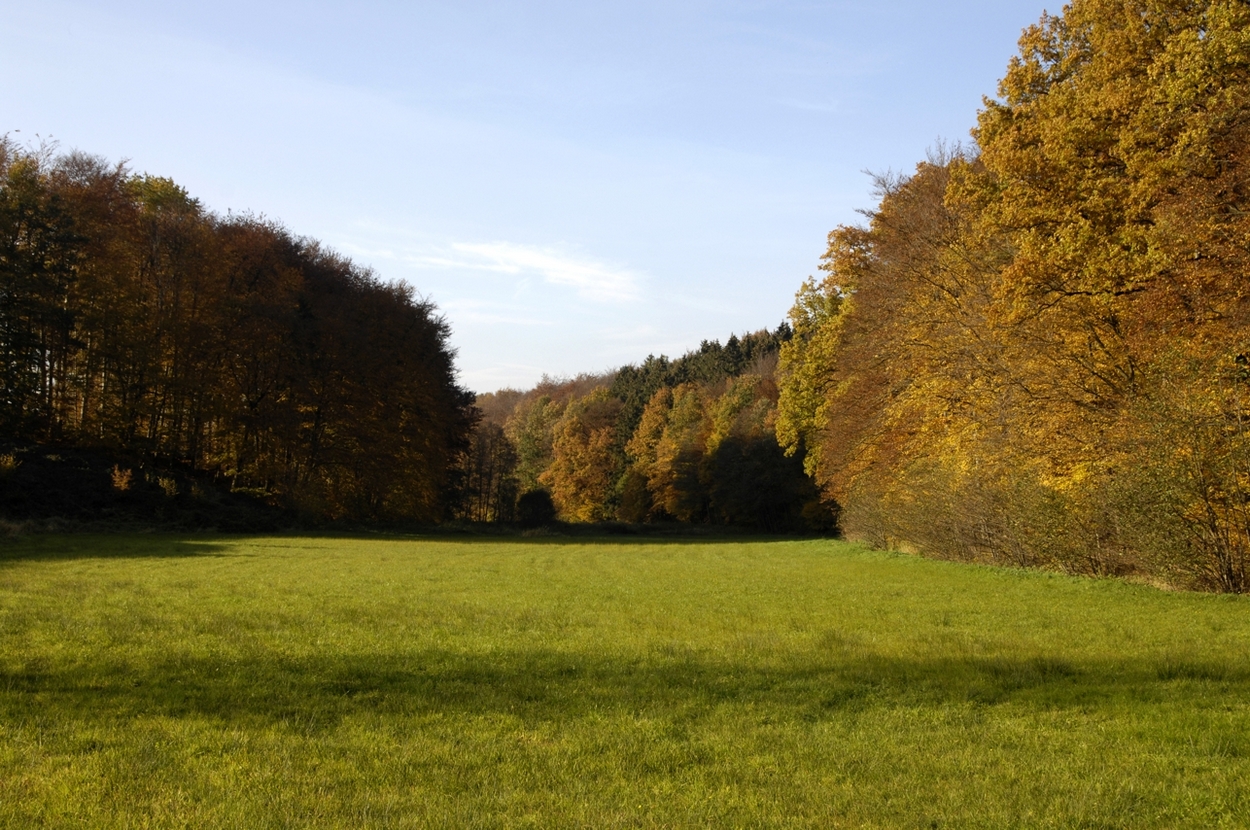 Werther, Herbst an der Warmenau