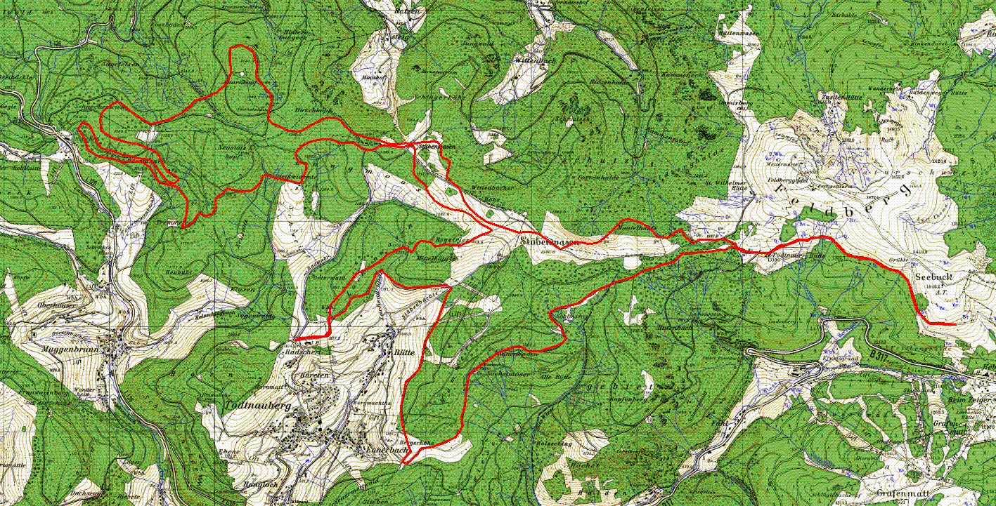 stbenwasen