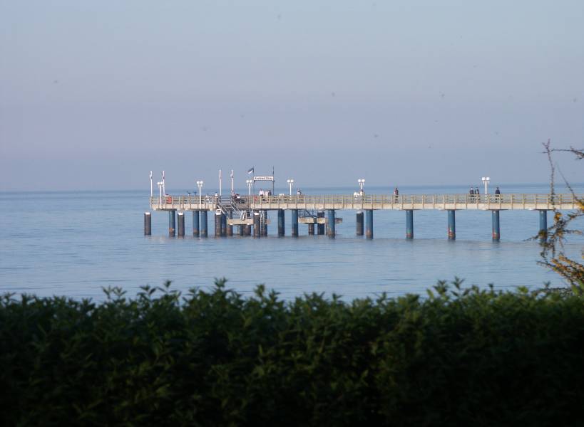 binz2