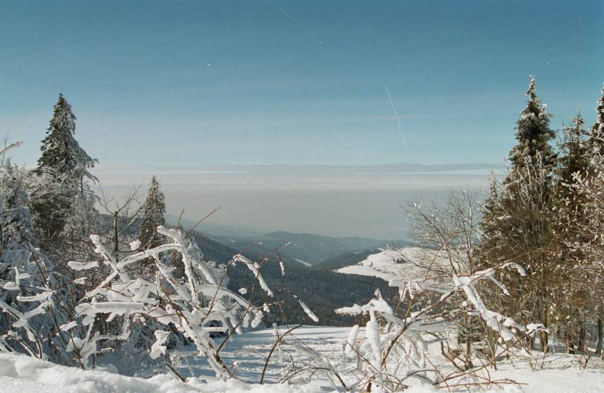 schwrzwald